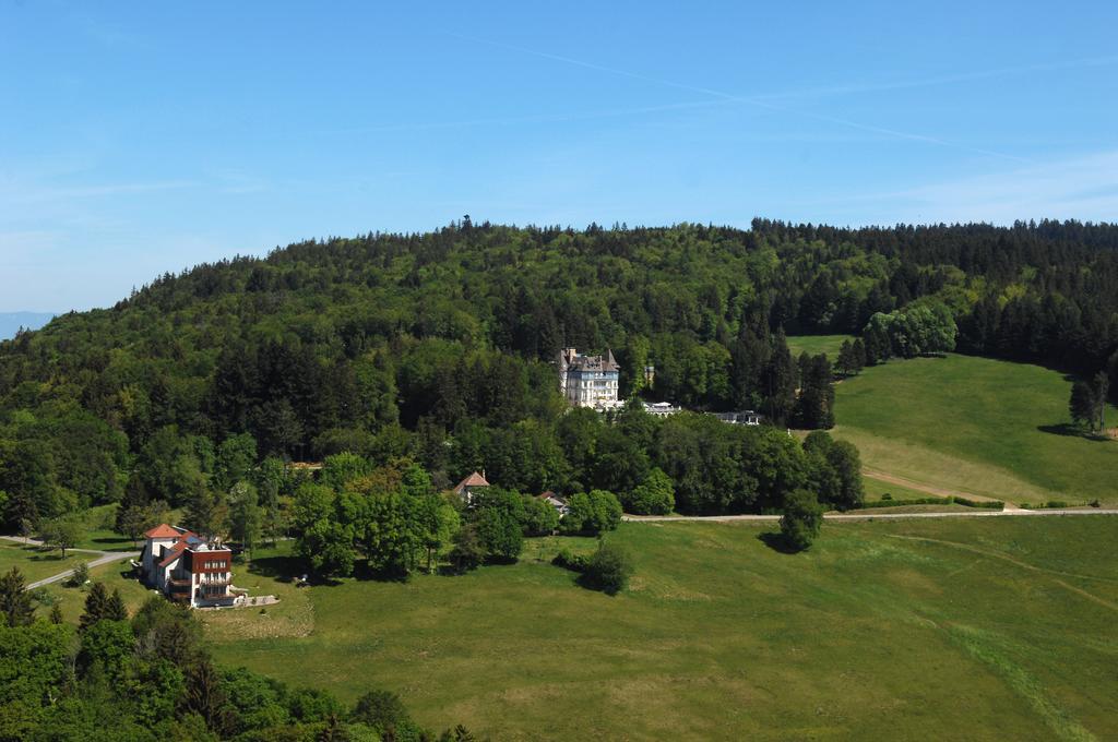 Chateau Des Avenieres Крузей Екстериор снимка
